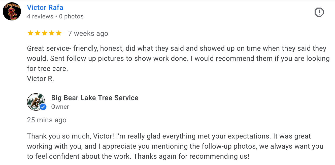 Review screenshot of Lake Arrowhead tree service with excellent results and fast scheduling.
