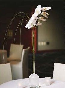 White flower table centerpiece