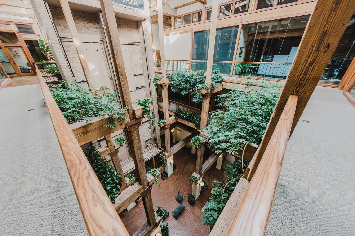 Washington_Plaza_plants from birds eye