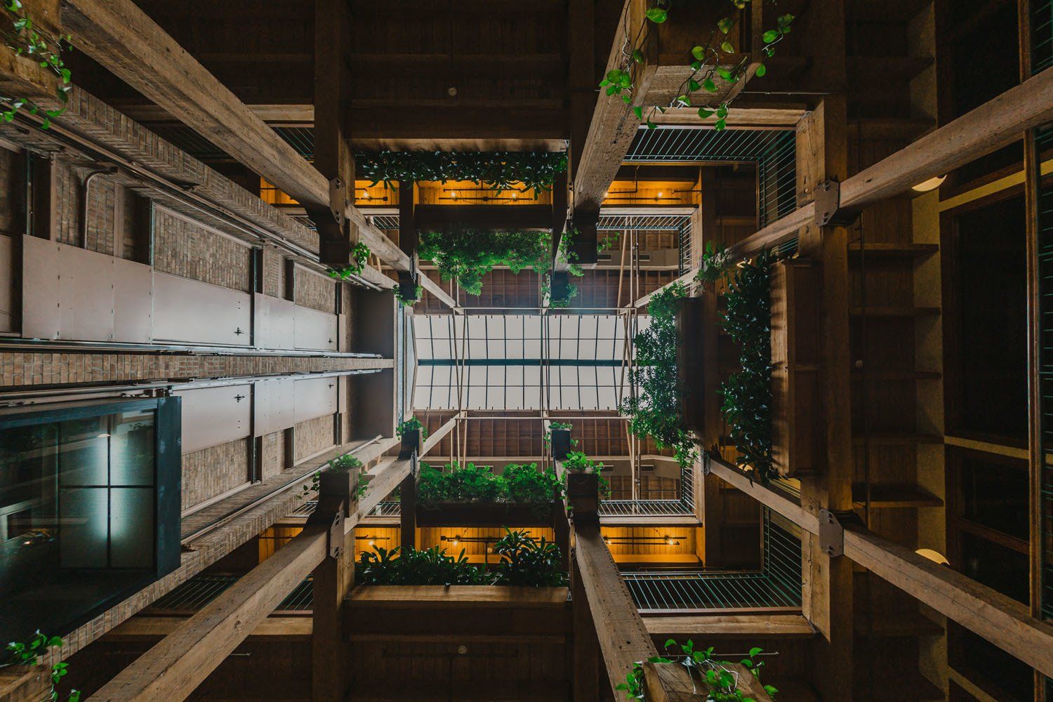 Washington_Plaza_interior looking at roof