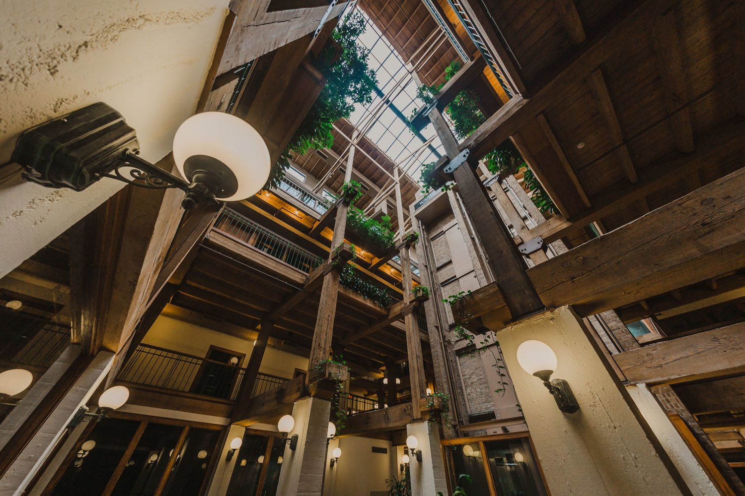 Washington_Plaza interior attractive plants 2