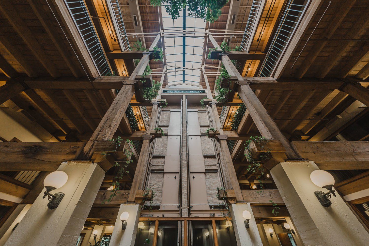 Washington_Plaza interior attractive plants 3