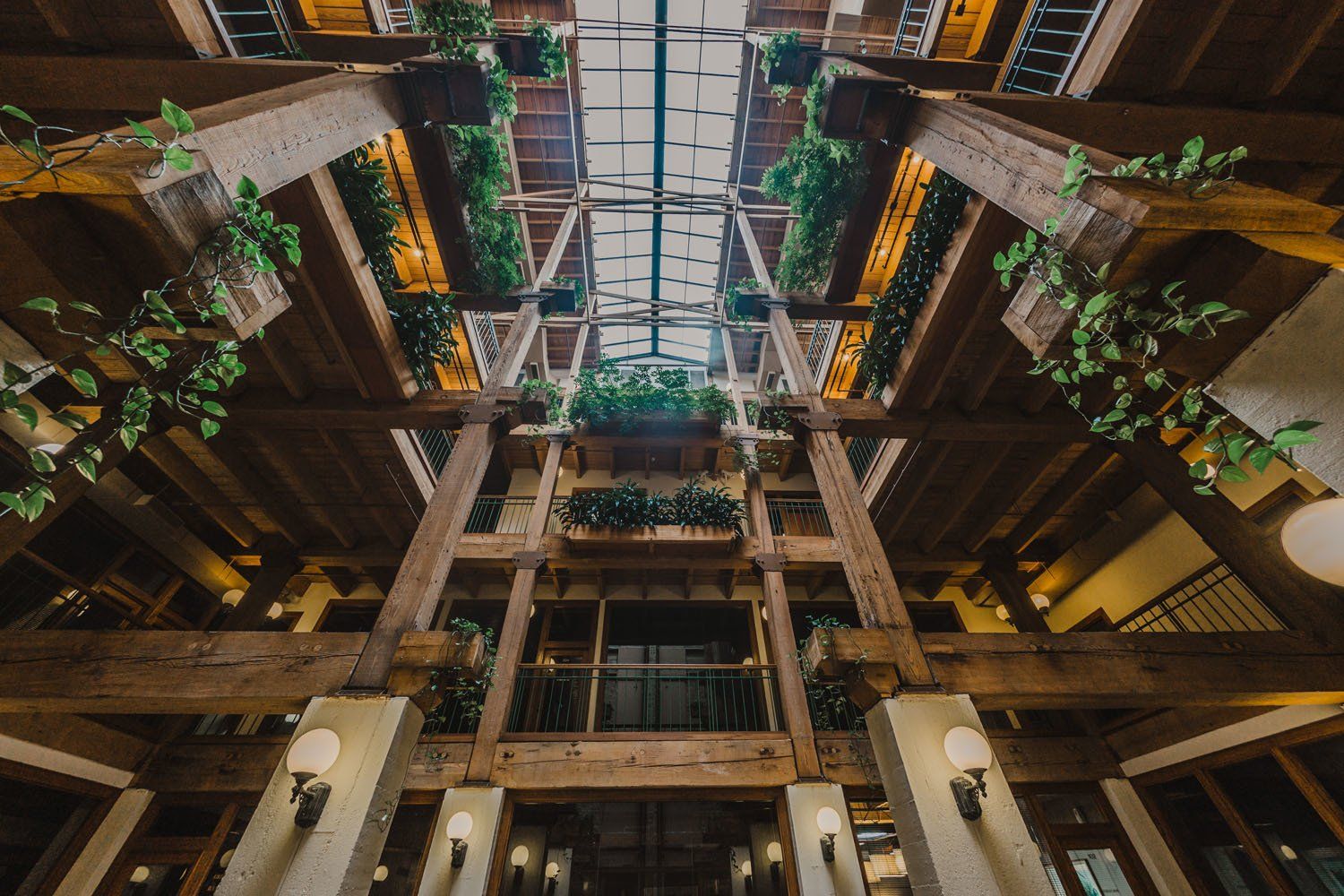 Washington_Plaza interior attractive plants 5