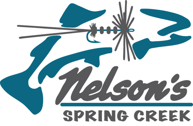 Nelson's Guides & Flies Logo