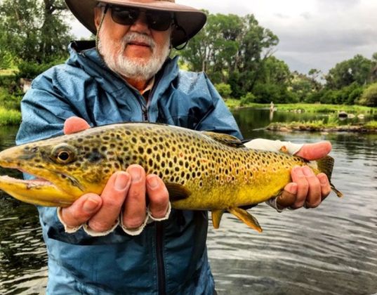 Private Spring Creek Fishing