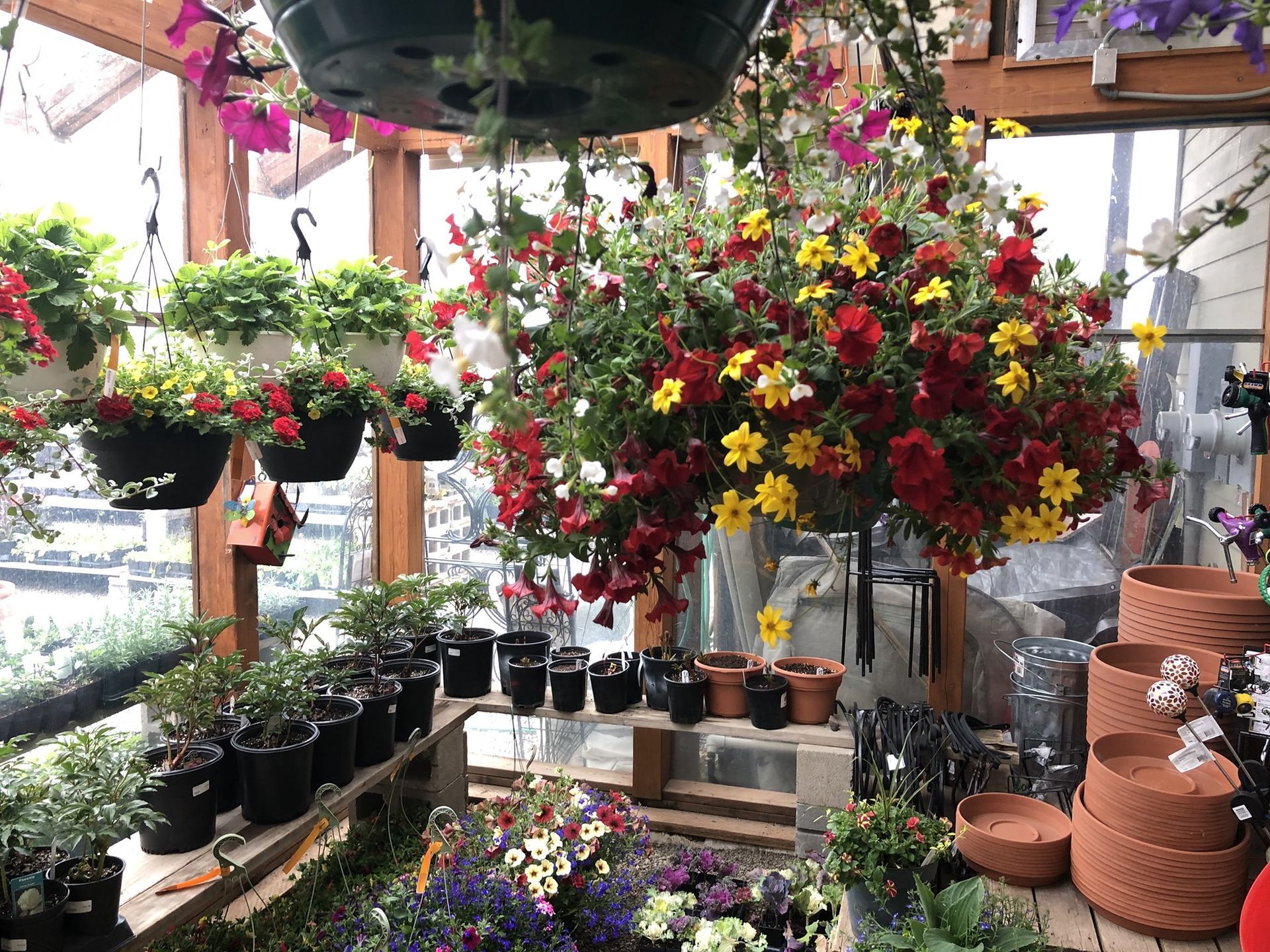 A greenhouse filled with lots of potted plants and flowers.