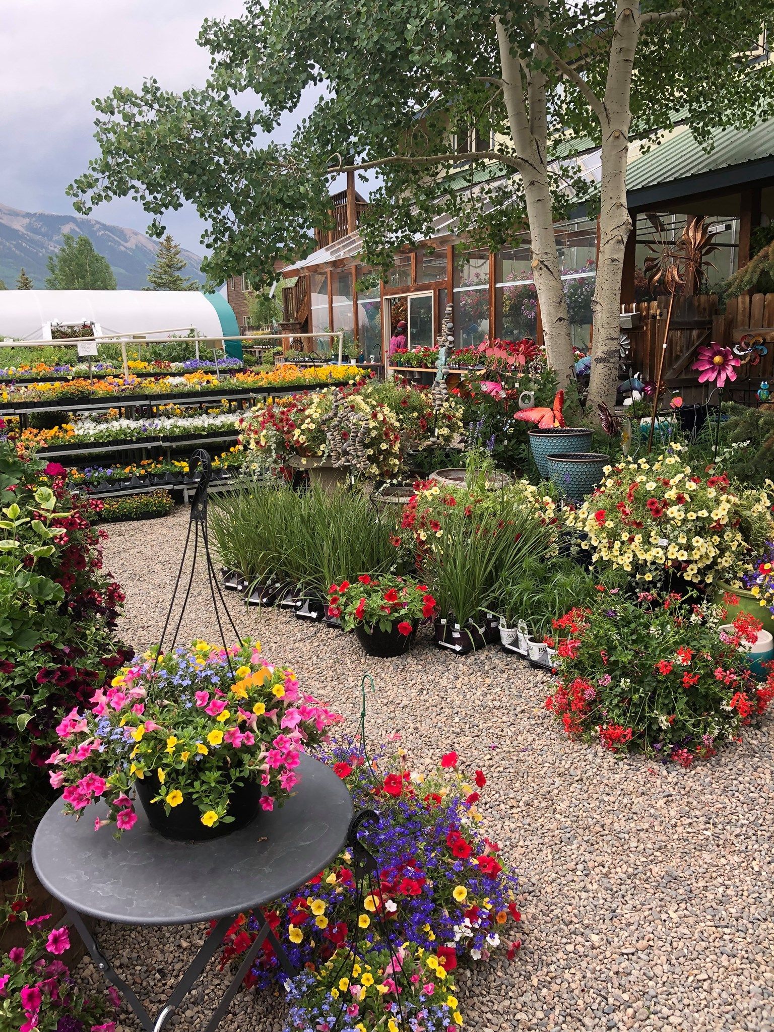 A garden filled with lots of flowers and a table with flowers on it.