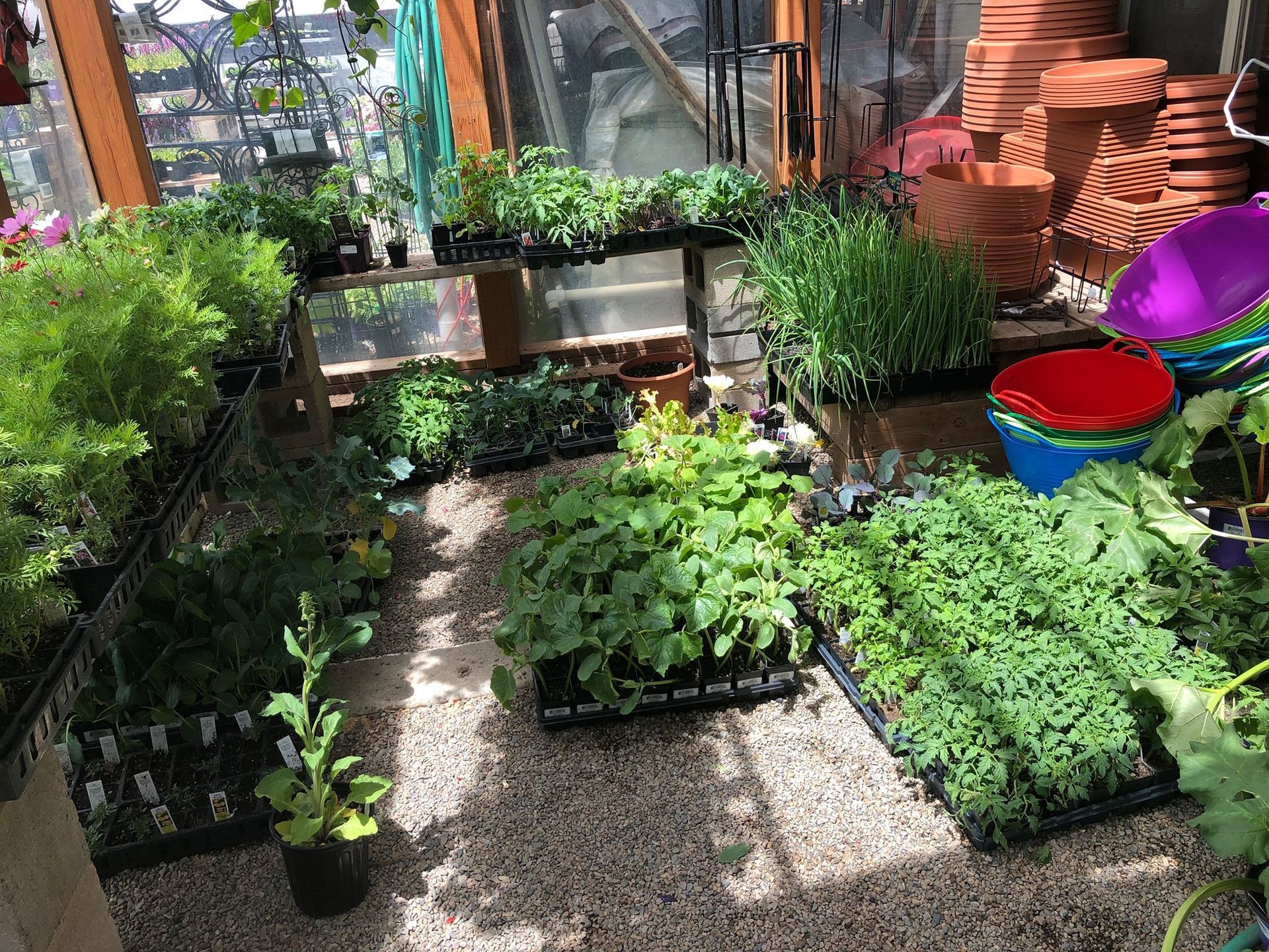 A greenhouse filled with lots of potted plants and buckets.