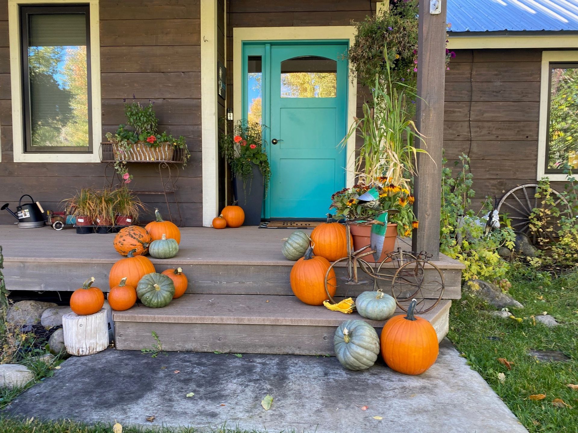 A porch decorated with pumpkins and flowers in front of a house.