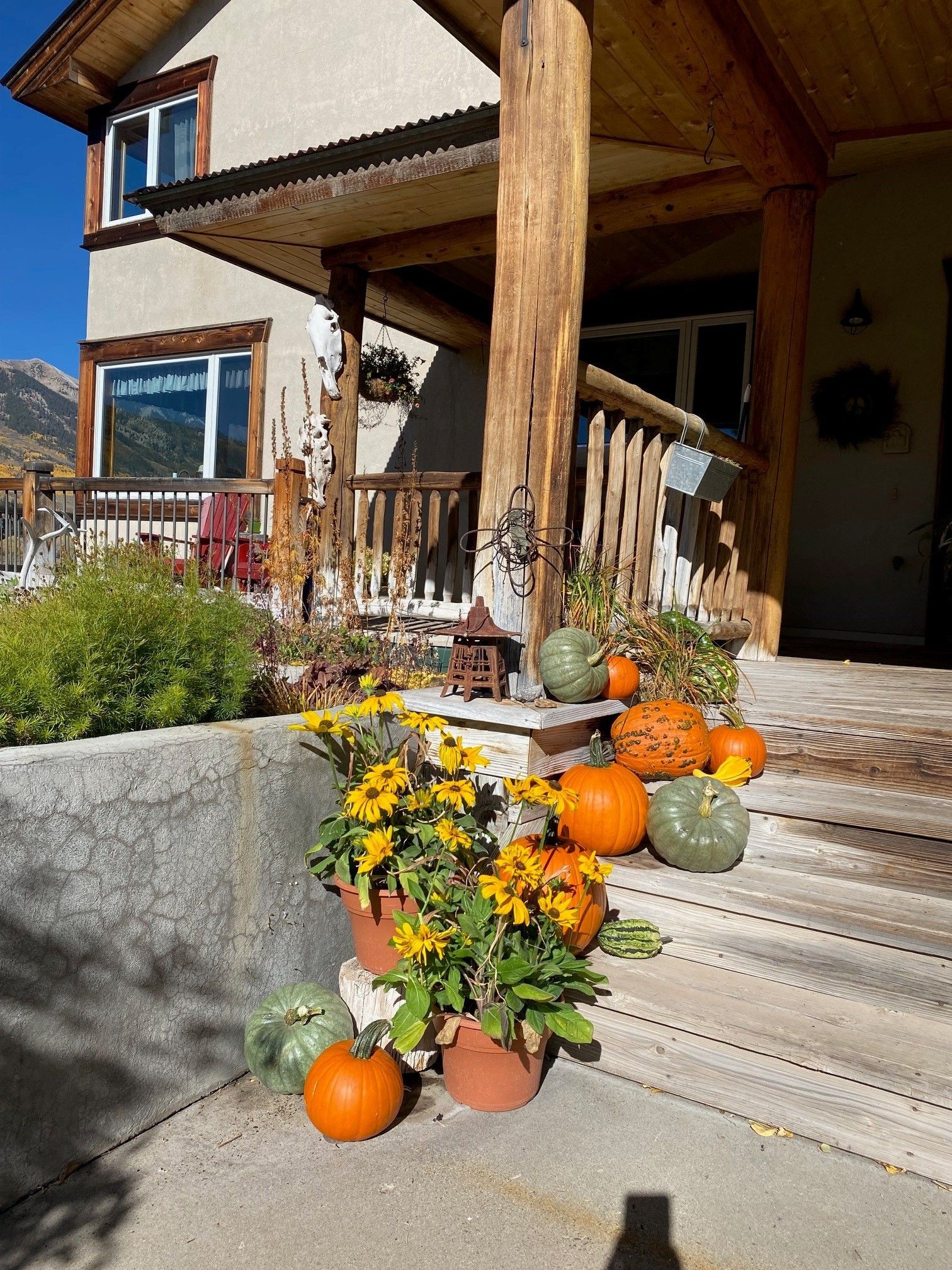 There are pumpkins and flowers on the porch of a house.