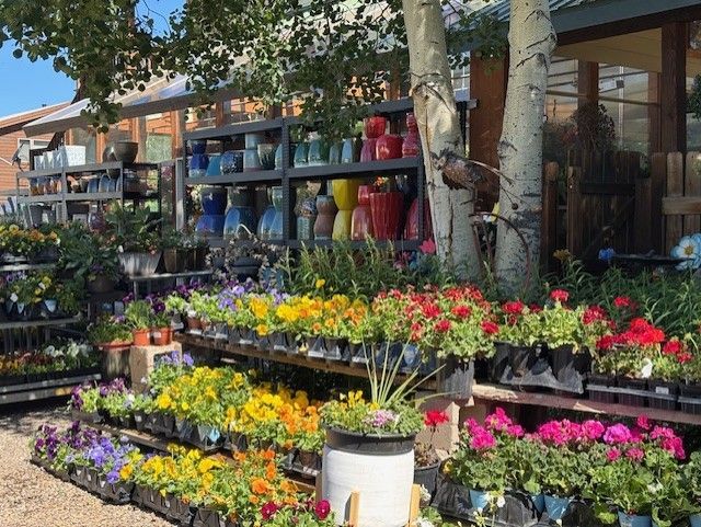 Potted flowers and colorful ceramic pots displayed on shelves and tables at an outdoor nursery.