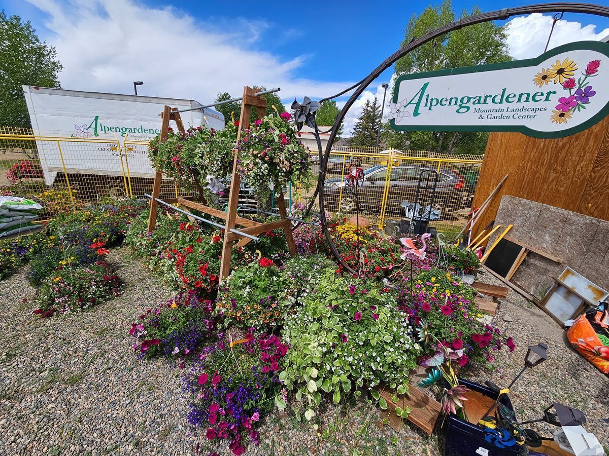 A bunch of flowers are growing in a garden with a sign in the background.