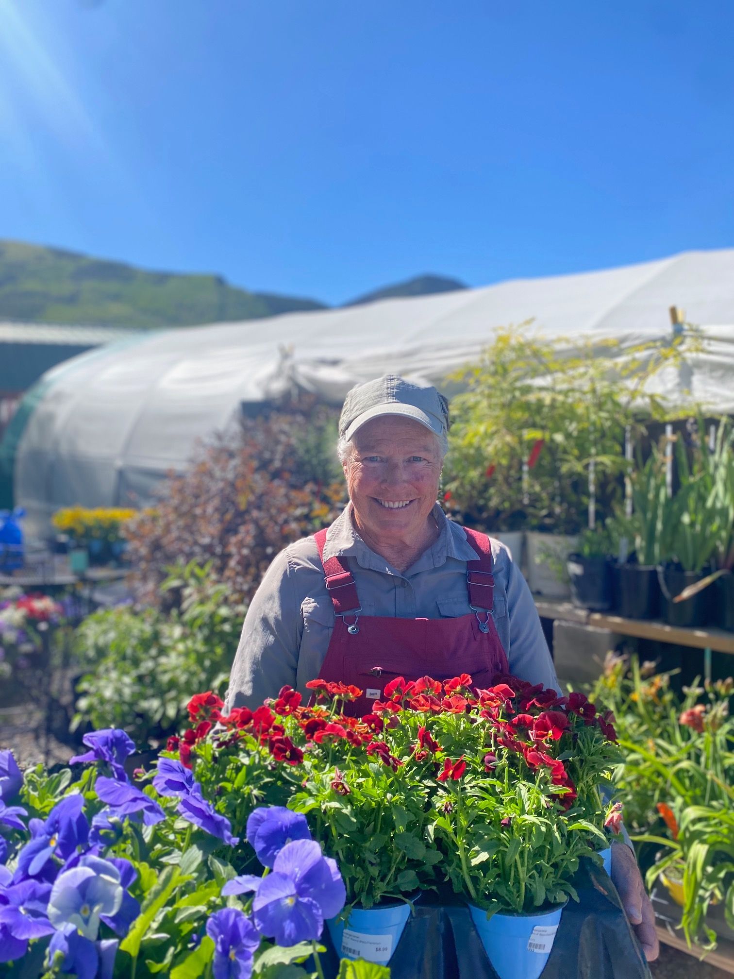 A woman is holding a tray of flowers in front of a greenhouse.