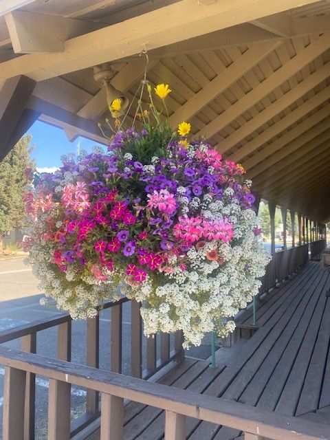 A hanging basket overflowing with vibrant purple, pink, and white flowers, suspended under a wooden porch roof.
