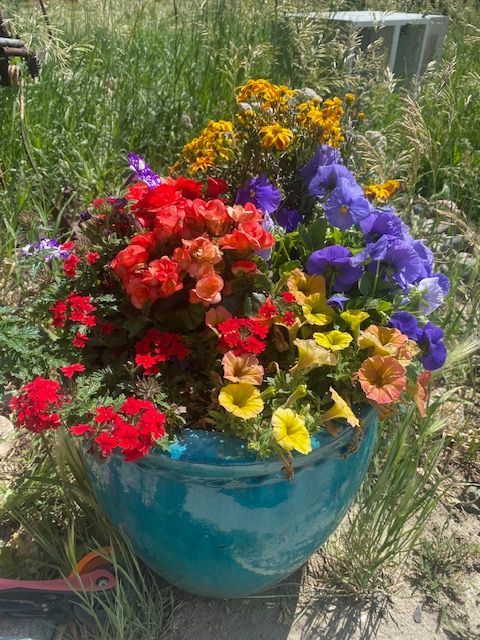A vibrant turquoise pot overflowing with a mix of red, yellow, orange, and purple flowers outdoors in a grassy field.