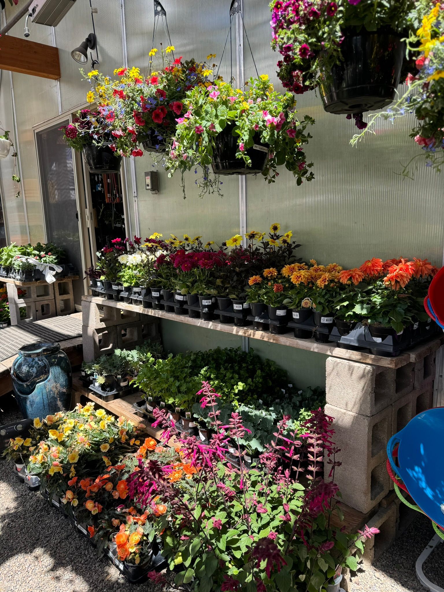 A greenhouse filled with lots of potted plants and hanging baskets.