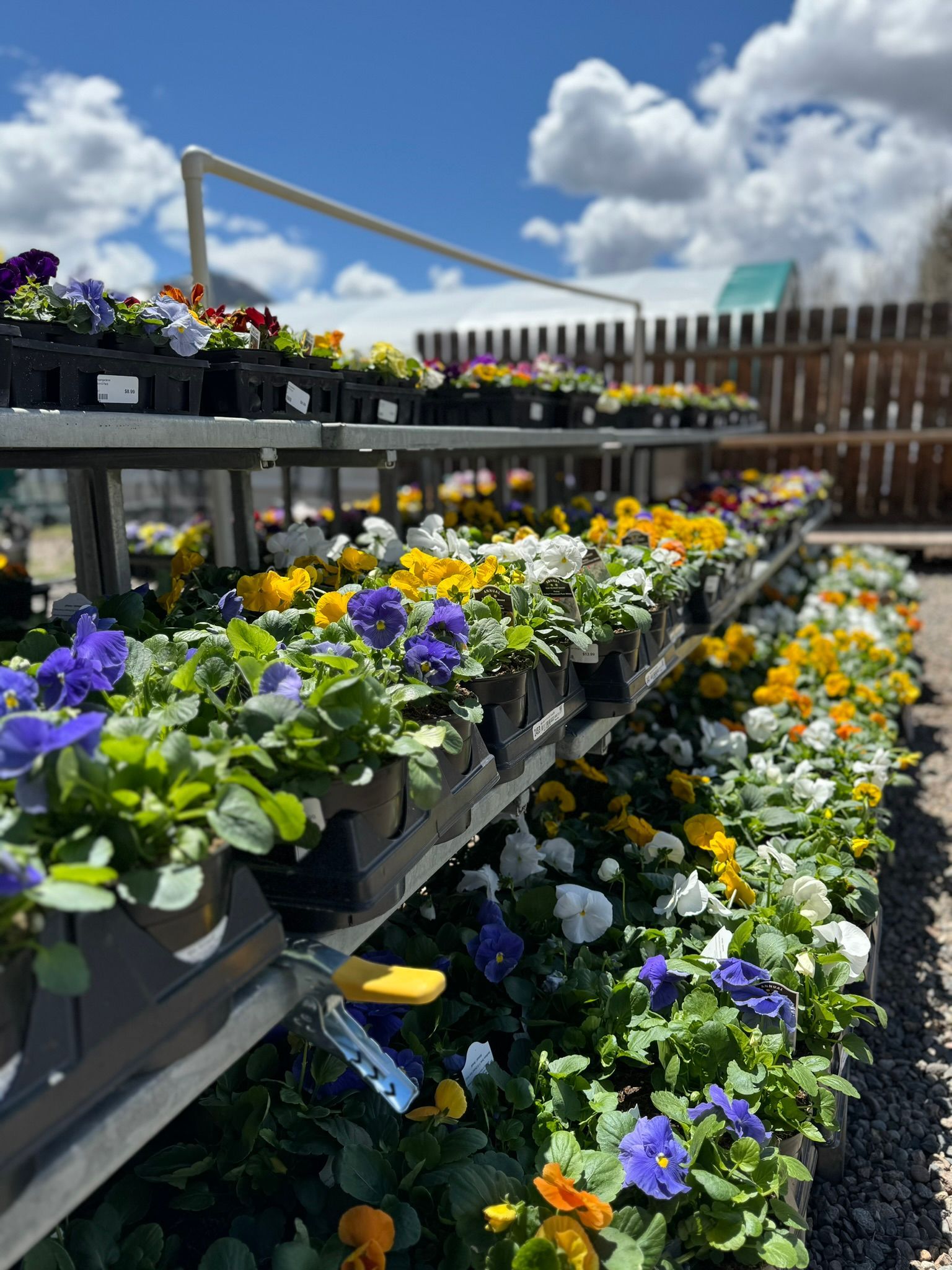 A bunch of flowers are sitting on a shelf in a garden.