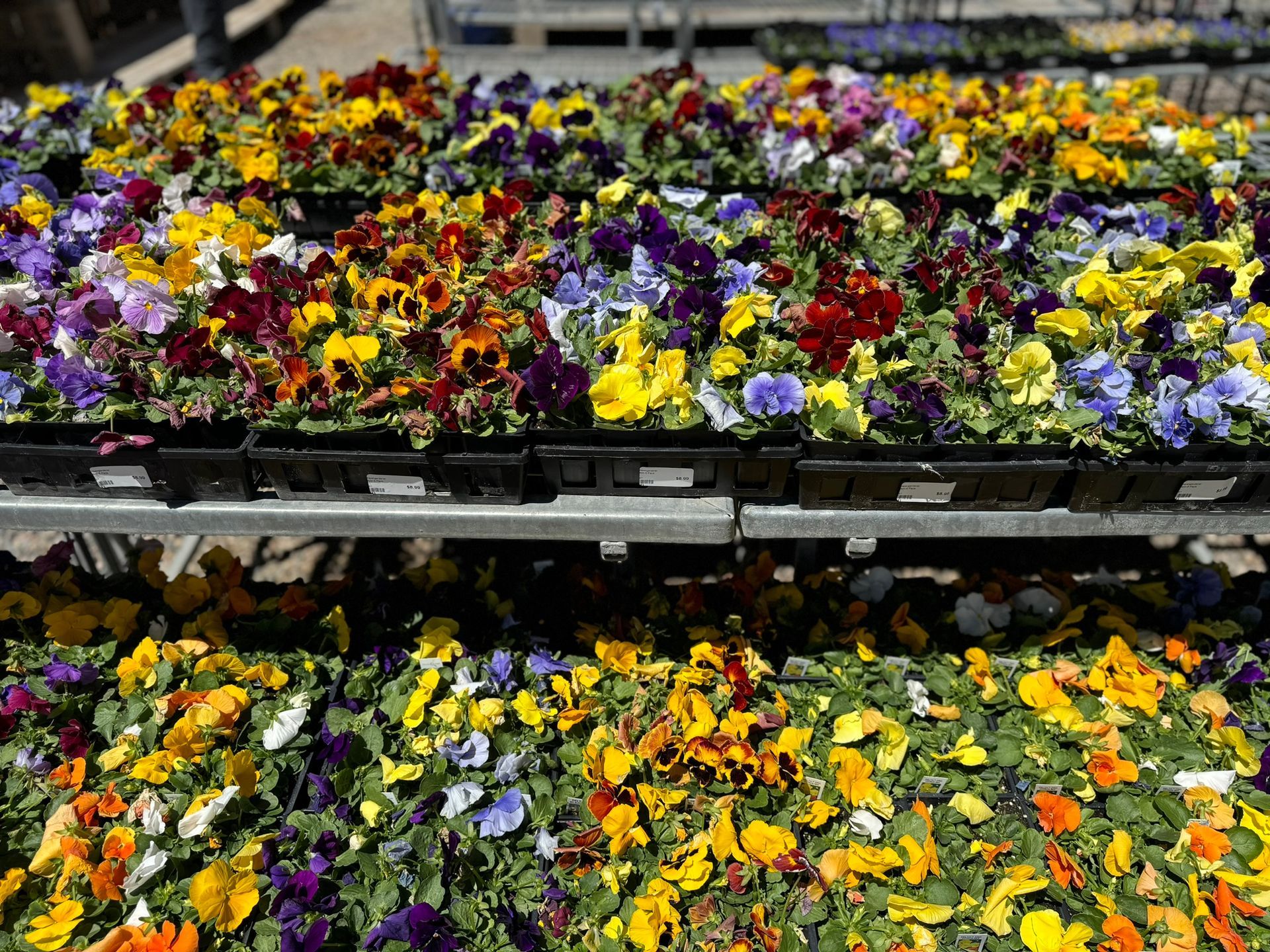A bunch of flowers are sitting on top of each other on a table.