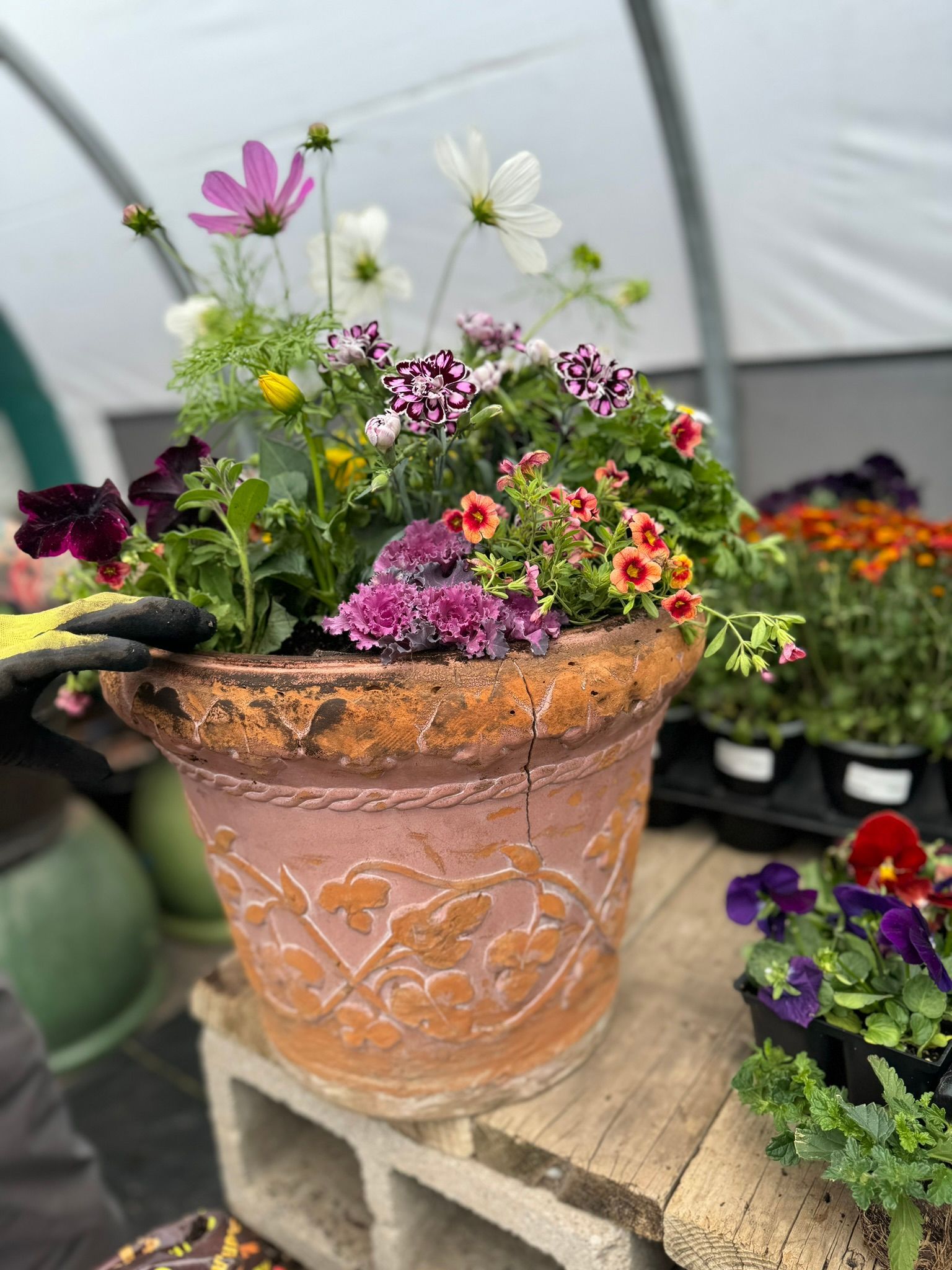 A person is planting flowers in a pot in a greenhouse.