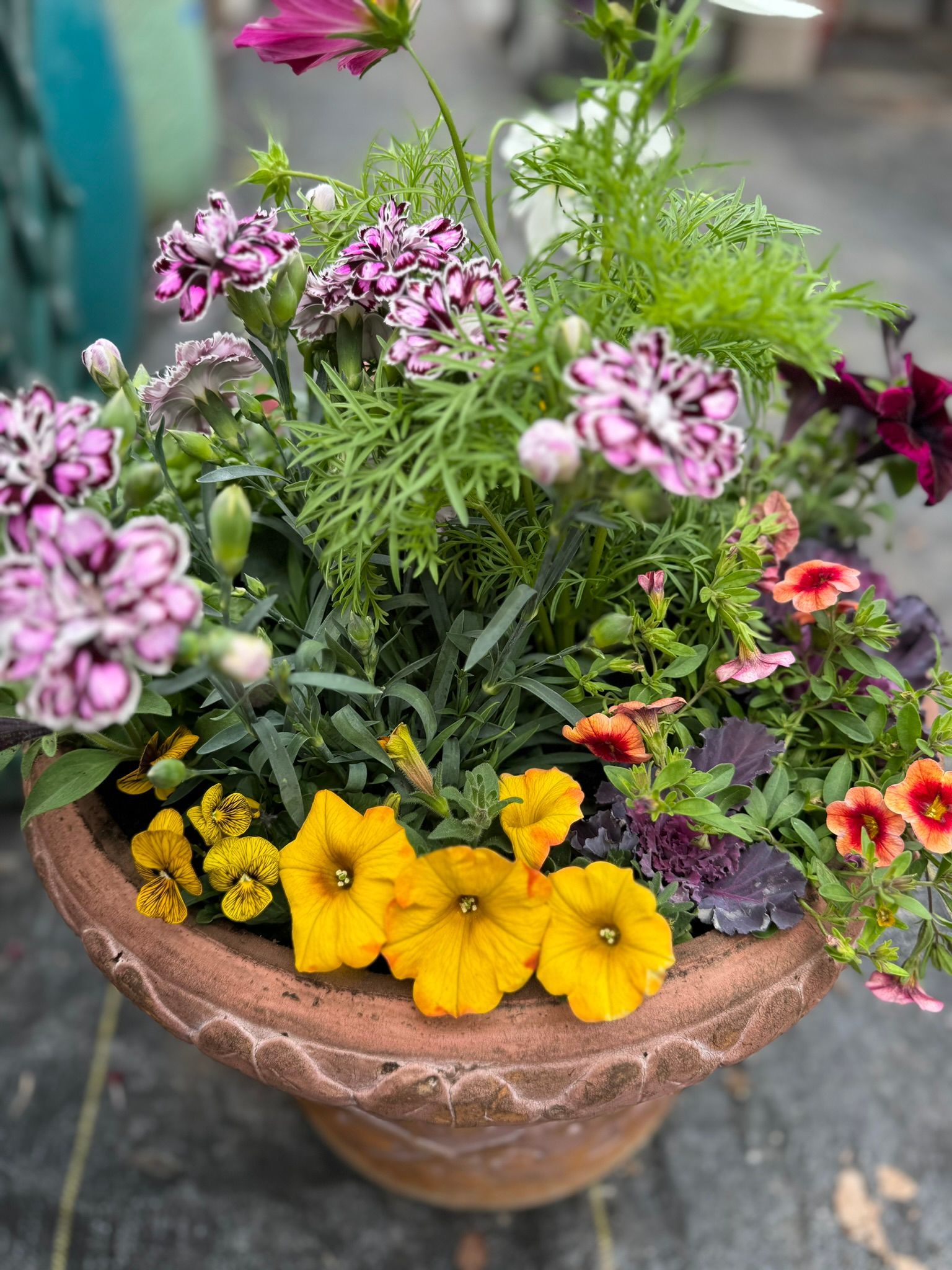 A pot filled with purple and yellow flowers and greenery.