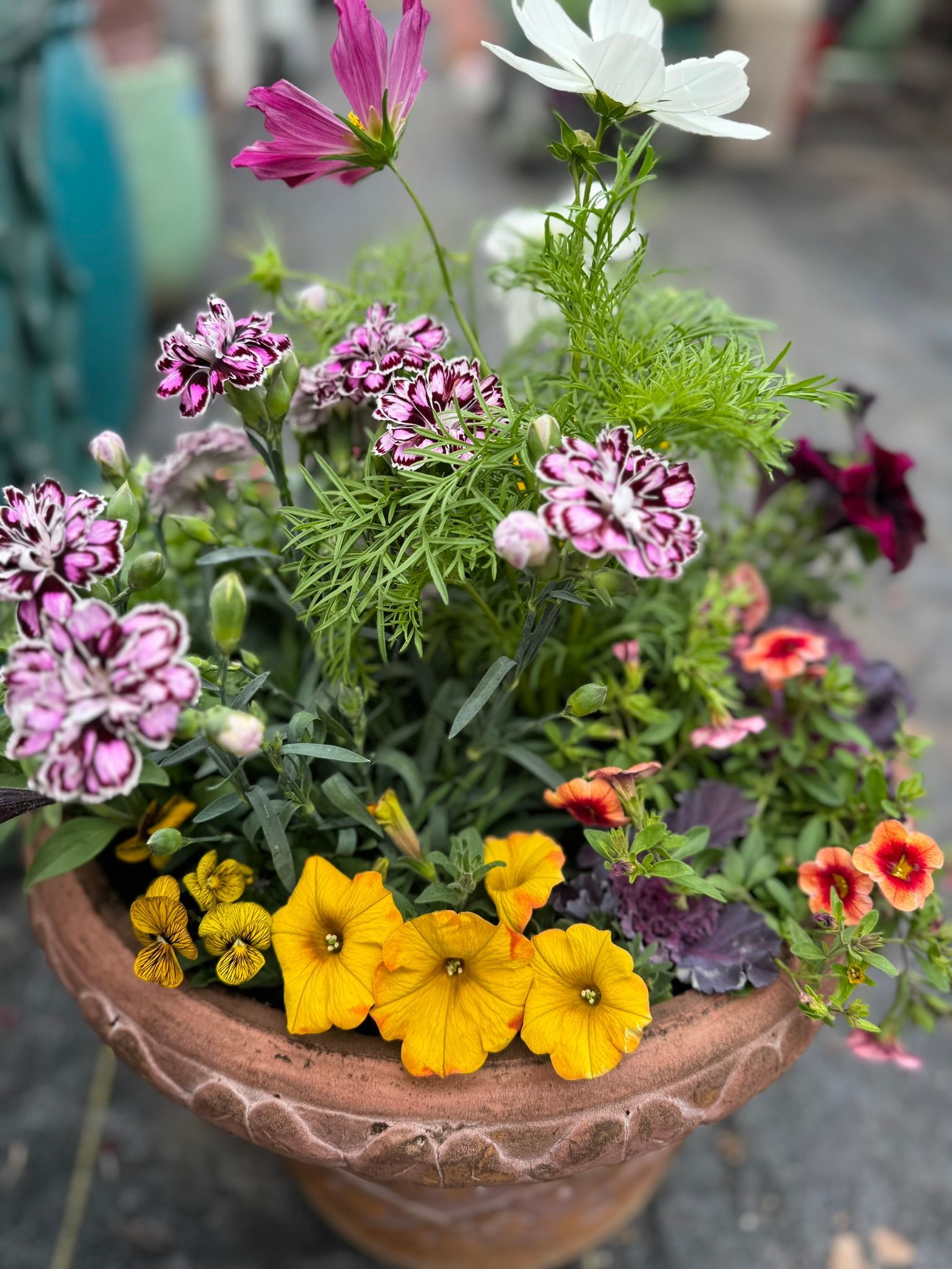 A pot filled with lots of different types of flowers and plants.