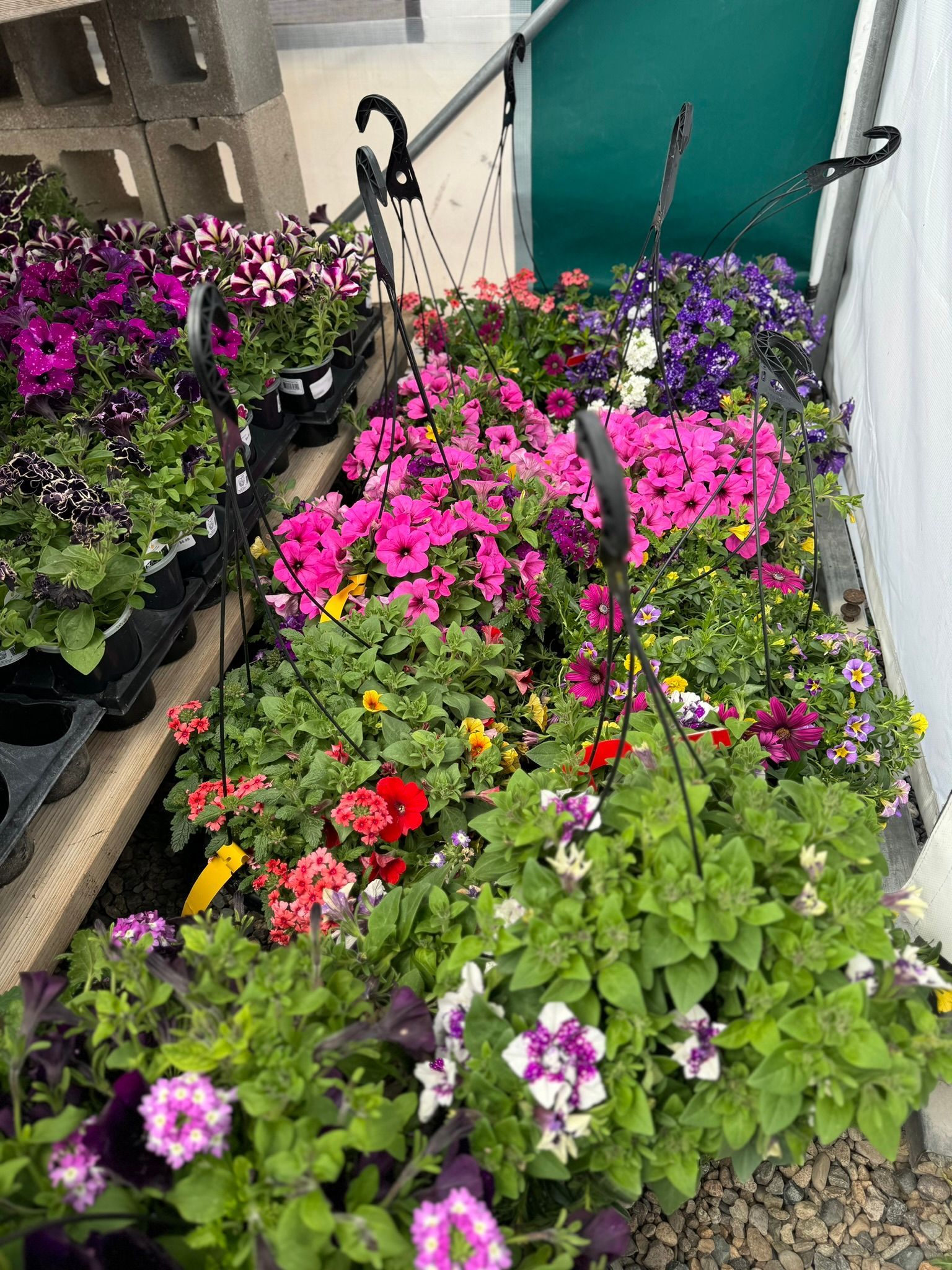 A bunch of flowers are sitting on a table in a garden.
