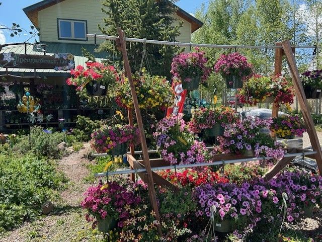 A wooden display rack holds hanging baskets of colorful flowers, including pinks, purples, and reds, in front of a building.