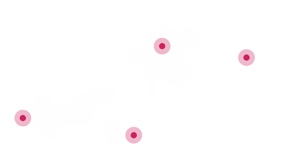 Wir liefern in ganz Österreich - RDD Transporte