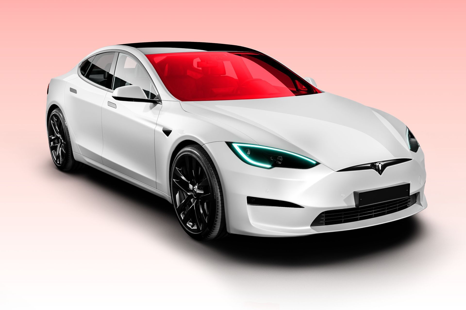 window tint