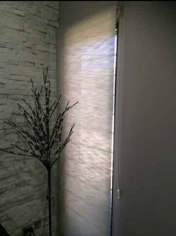 Dim Room Corner With a Tall Potted Plant — NT Blinds in Yarrawonga, NT 
