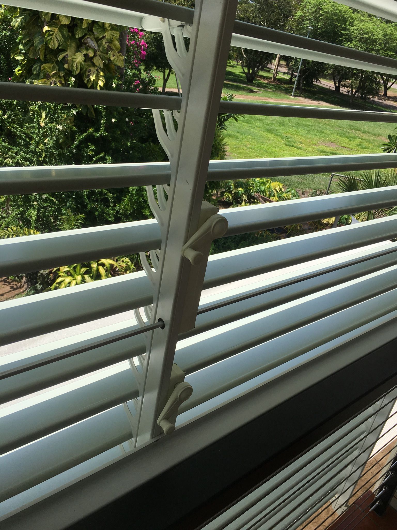 White horizontal window blinds with a view of green foliage outside.