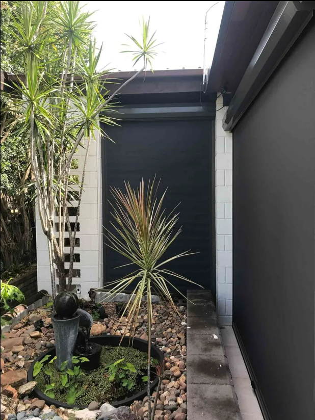 Small Courtyard With Potted Spiky Plants — NT Blinds in Yarrawonga, NT