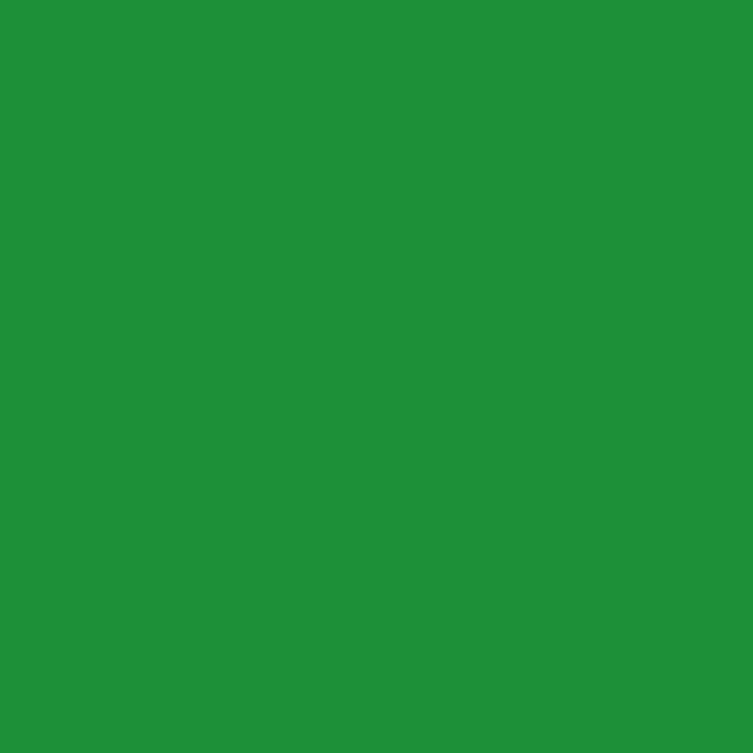 It is a green background that looks like a plain green background.