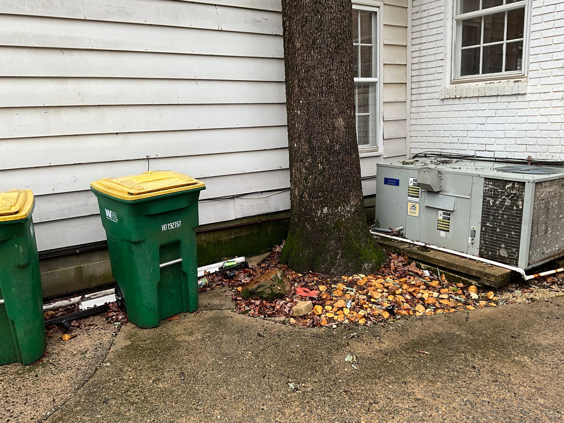 ar statewide tree service gallery image 4