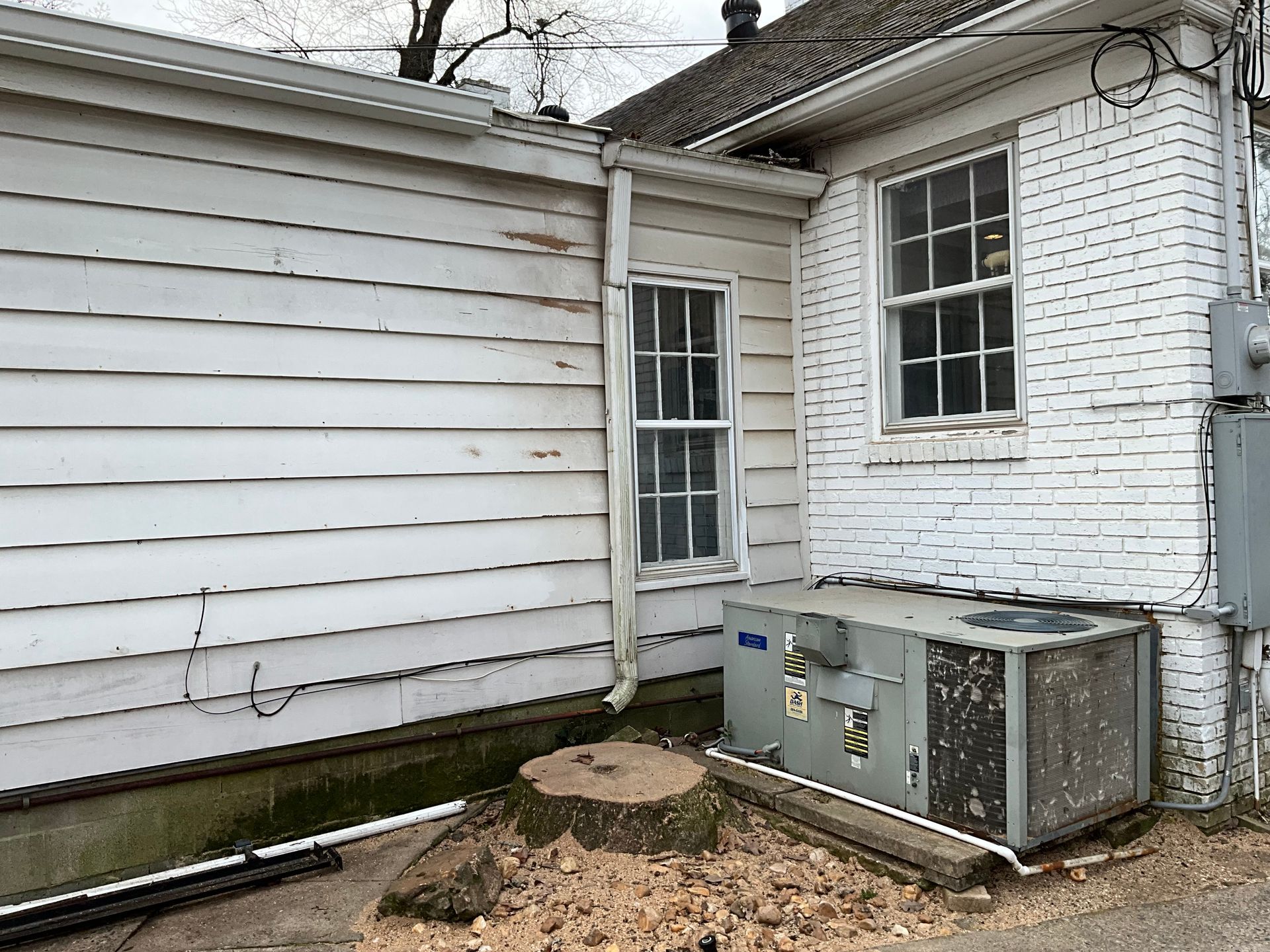 ar statewide tree service gallery image 2