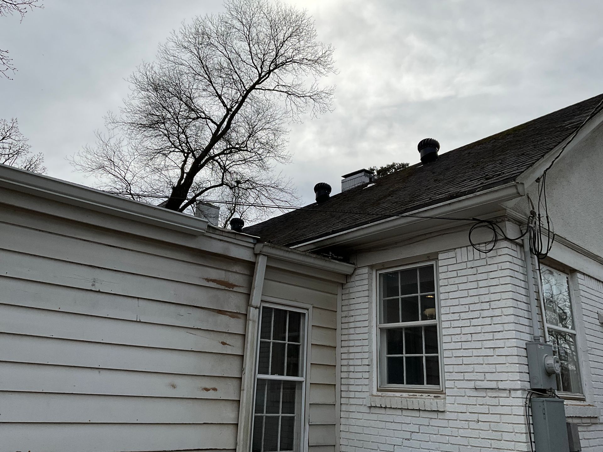 ar statewide tree service gallery image 1