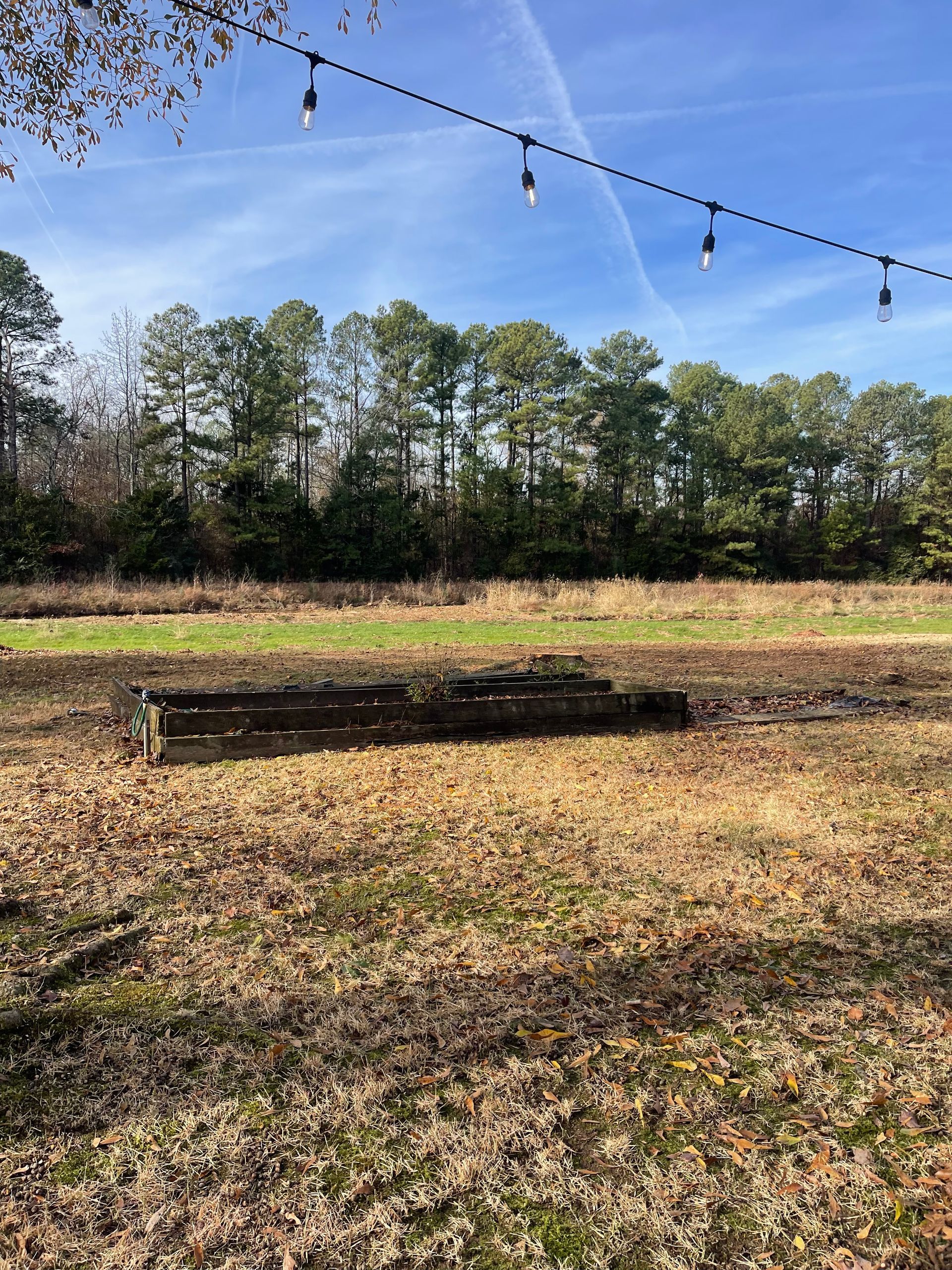 a field with trees in the background and a string of lights hanging from a wire .