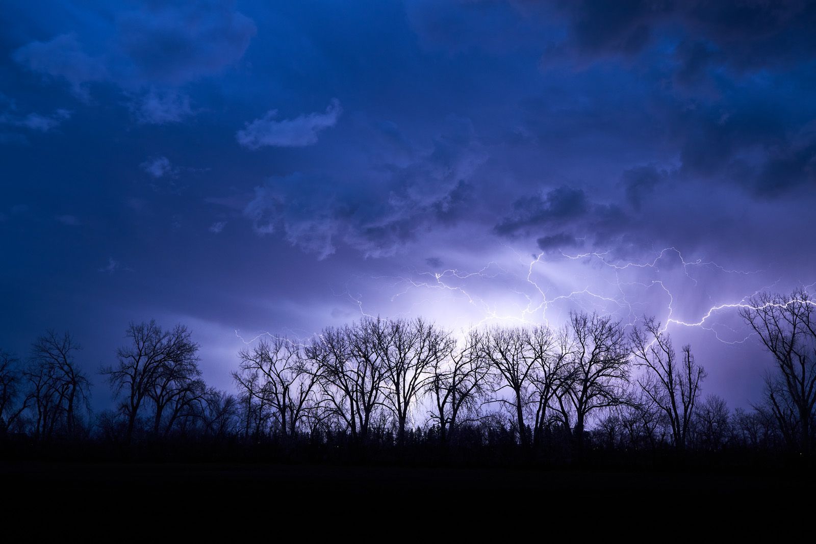 Lightning exposes the cloud structure behind the trees.