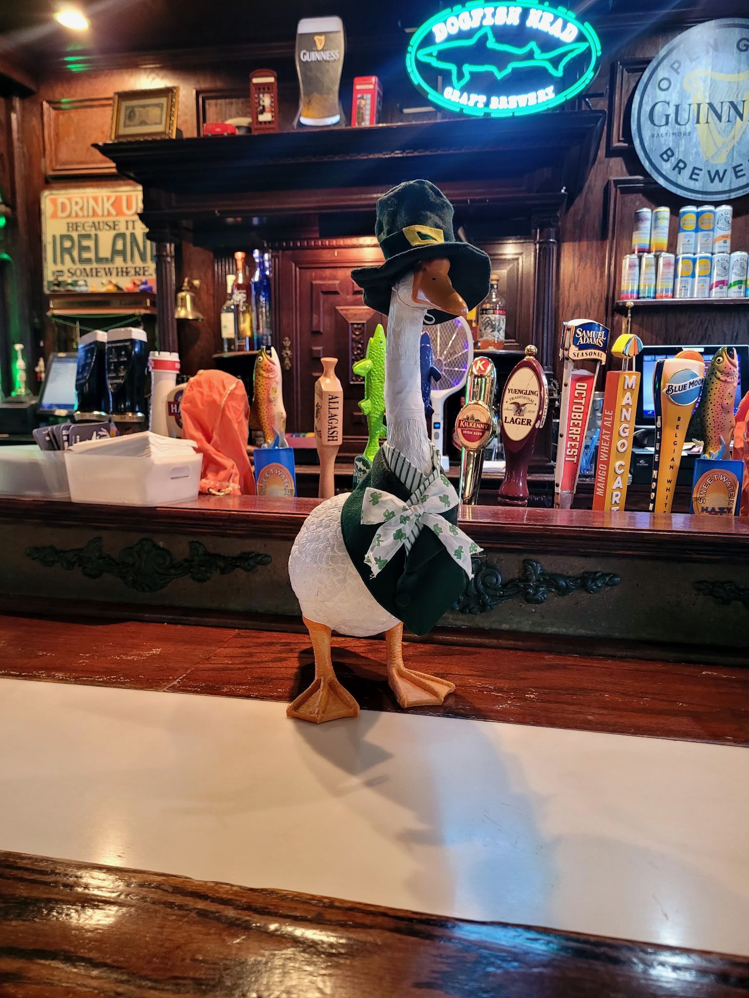 A perfect pint of Guinness at O'Lourdans for St. Patrick's Day