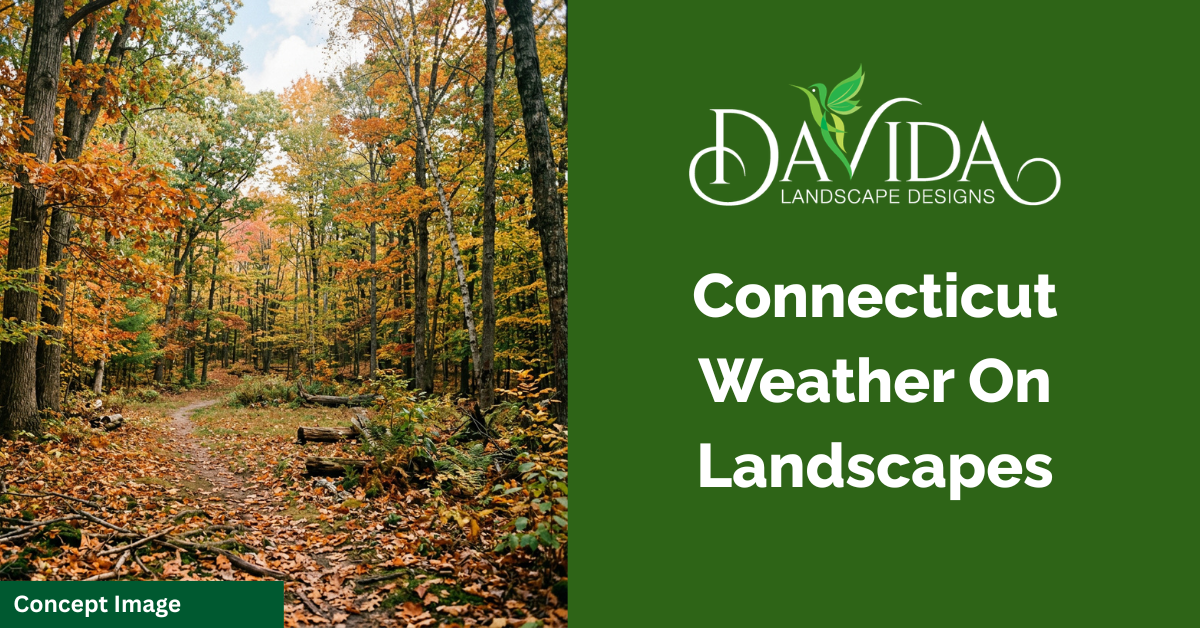 Autumn woods on the left next to text reading 