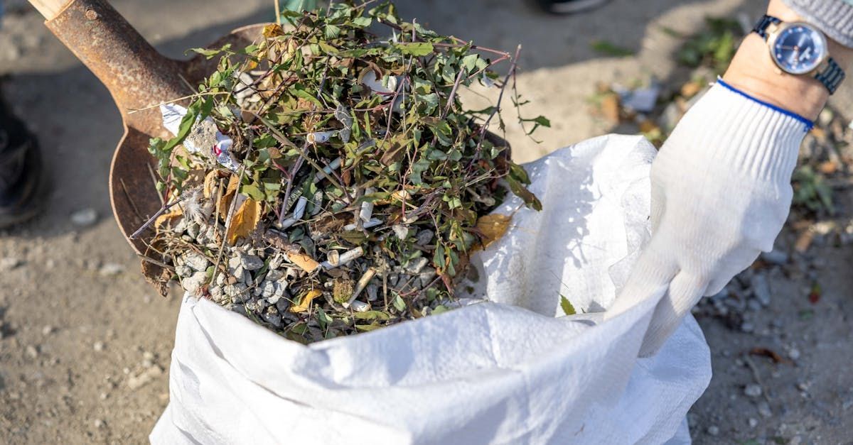 Gloved hands hold a white sack filled with dried plant debris on a dirt surface
