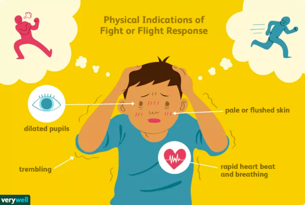 4 physical indications of fight or flight response: dilated pupils, pale or flushed skin, trembling, rapid heart beat and breathing