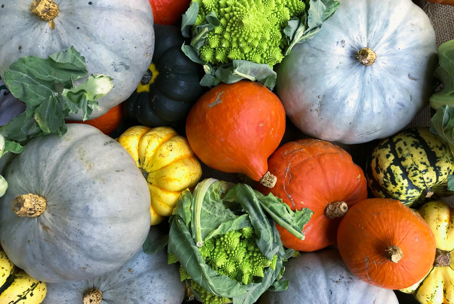 An array of brightly coloured squash, pumpkin and green vegetables