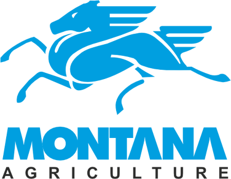 Montana logo