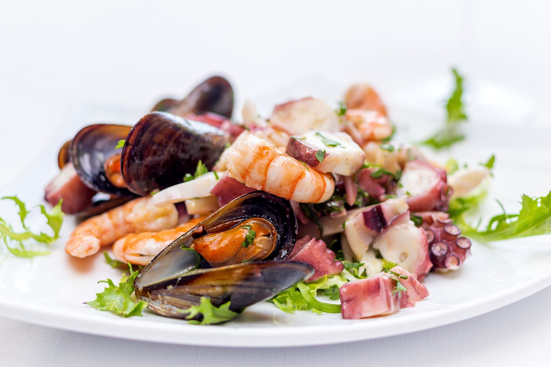 Insalata di mare su un piatto bianco: cozze, gamberi, polpo e lattuga.