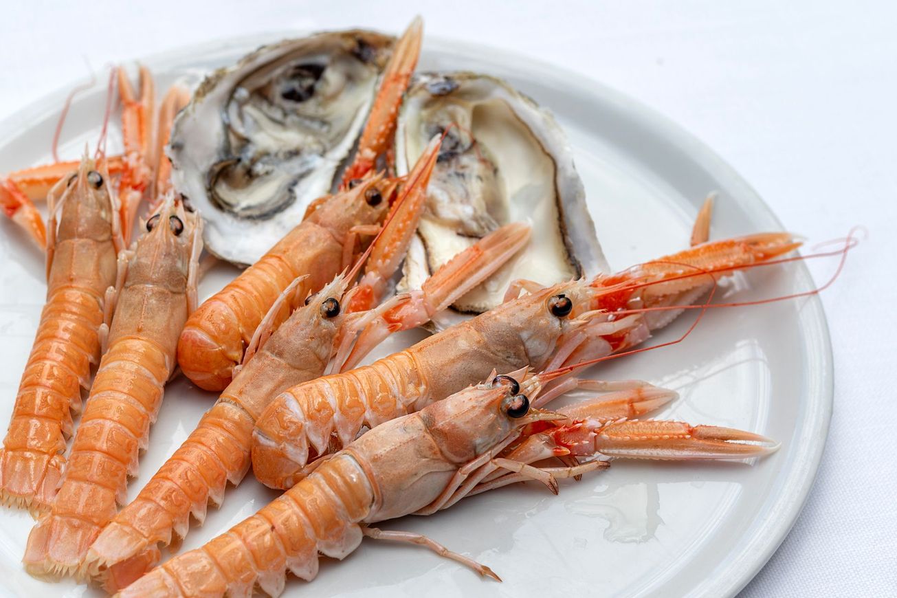 Piatto di pesce fresco: scampi e ostriche.
