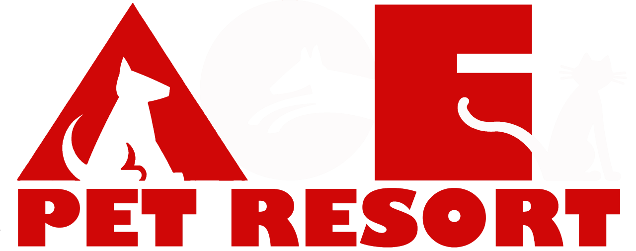 Exotic Animal Boarding Sarasota, FL ACE Pet Resort