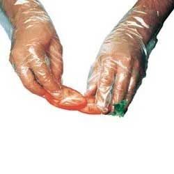 Poly Food Service Gloves