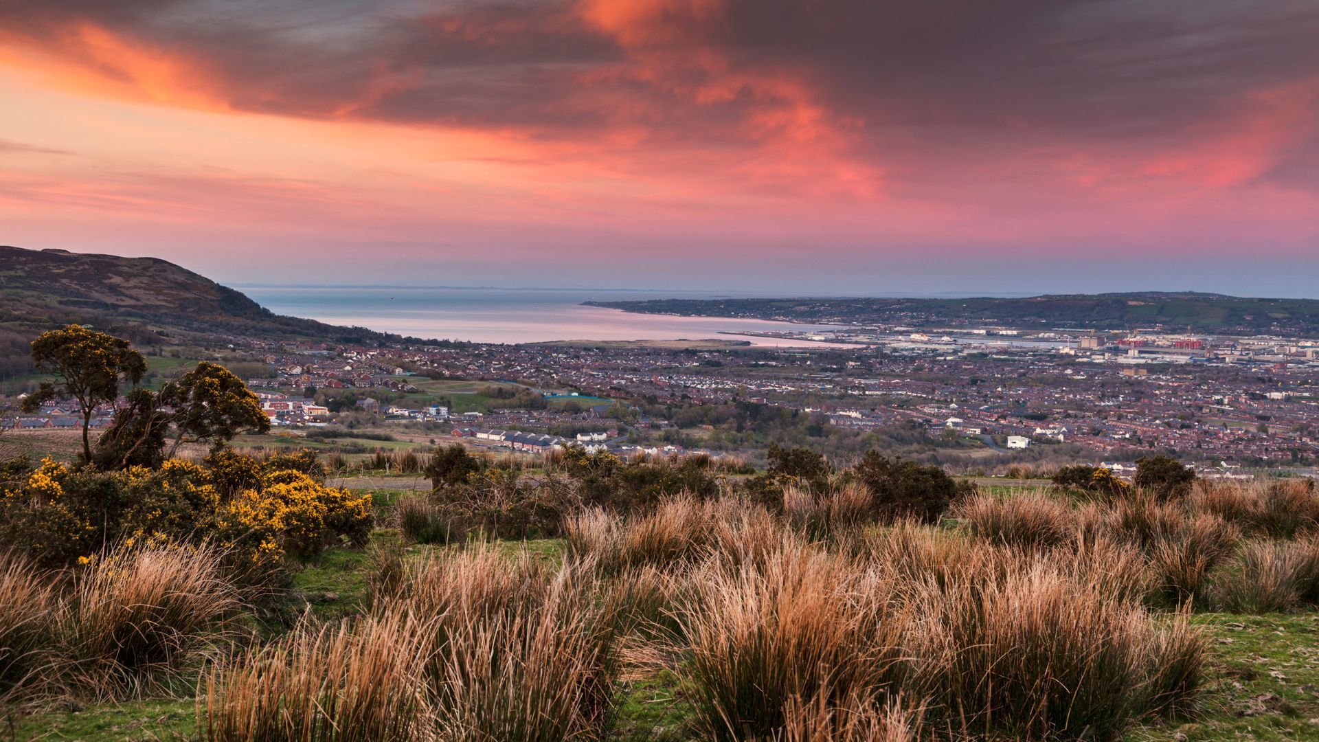 belfast from the hills