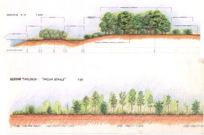 certificato di sicurezza e tutela ambientale